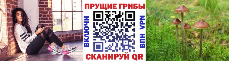 где можно купить наркотик  Углегорск  Галлюциногенные грибы прущие грибы 